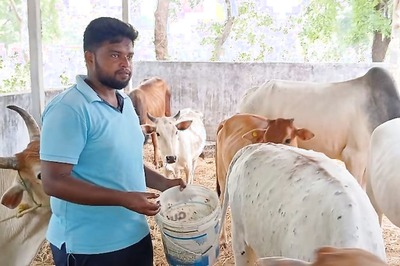 This Andhra Man Has Rescued 200 Cows Till Date