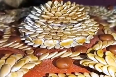 This 70-year-old Karnataka Man Creates Unique Artwork Using Seeds