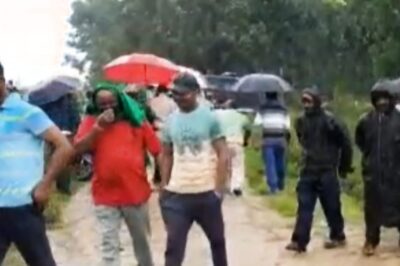 More Than 30 'Poisoned' Monkeys Found Dead Inside Gunny Bags in Karnataka