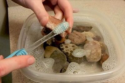 How to Organize a Rock Collection