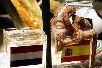 Spain bids for Paul the octopus