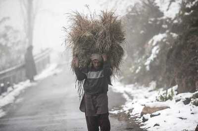 At -6.6 Degrees Celsius, Srinagar Records Coldest Night of Season Under 'Chillai-Kalan' Period