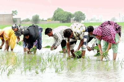 Punjab on Maximum Alert: Villages Close to Pakistan Border Evacuated