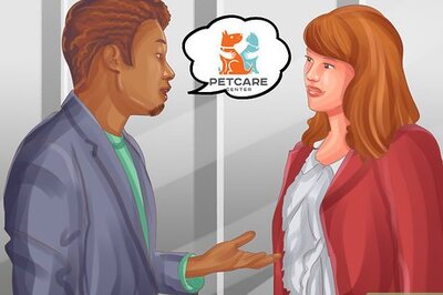 How to Find a Vet for Your Cat