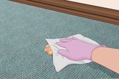 How to Clean Cat and Dog Puke Out of Your Carpet