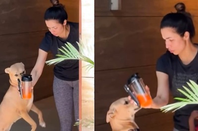 Watch: Malaika Arora's Gesture To Save Kid From Dog Fails To Impress Fans