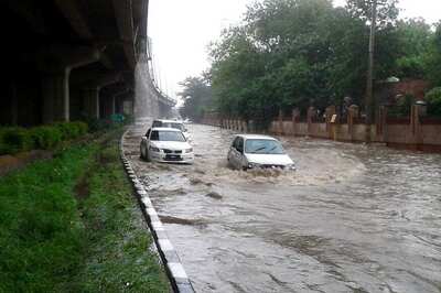Heavy Downpour in North India, 8 Killed in Rain-Related Incidents