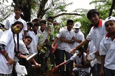 Project One Tree: All You Need to Know About Van Mahotsav