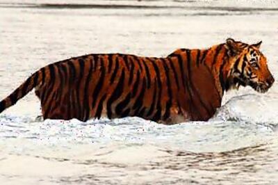 Capture change with the HP Climate Change Photography Contest