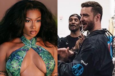 Justin Timberlake and Megan Thee Stallion Get Into a FIGHT At VMAs 2023? Here's What We Know