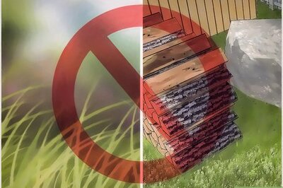 How to Prevent Lyme Disease in Children