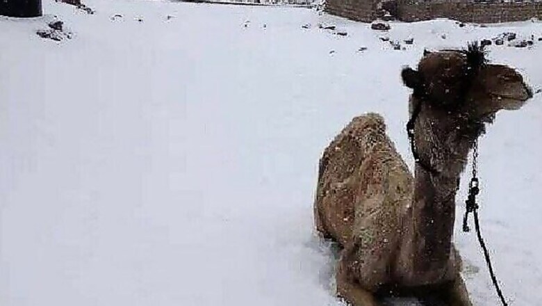 Egypt's rare snowfall: Twitterati reacts with shock