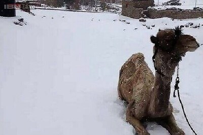 Egypt's rare snowfall: Twitterati reacts with shock
