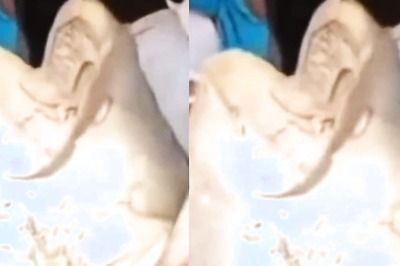 In Bihar’s Madhubani, Fishermen Catch A Massive 125 Kg Fish