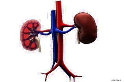 Bangalore: Kidney patients rue absence of donors
