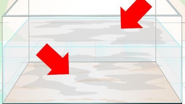 How to Keep Aquarium Water Clear