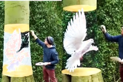 Watch: Artist's Brilliant 3D Painting On Tree Trunk Leaves Internet Stunned