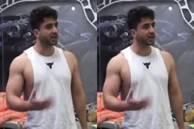 Bigg Boss 14: Aly Goni Loses Cool, Decides Not to Wear Mic or Eat Food