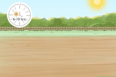 How to Plant a Running Bamboo