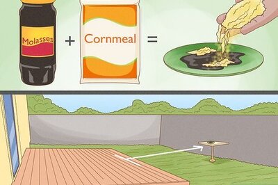 How to Get Rid of Flies Outdoors (And Keep Them Away for Good)