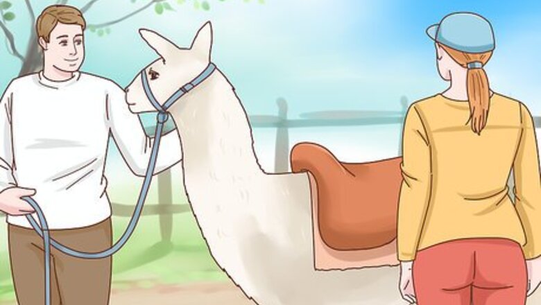How to Ride a Llama