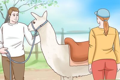 How to Ride a Llama