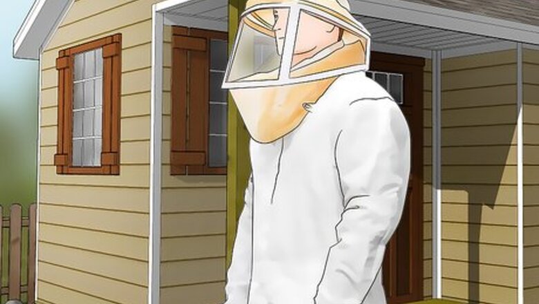 How to Find a European Wasp Nest