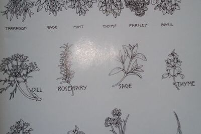 How to Paint an Indoor Herb Garden in Watercolor