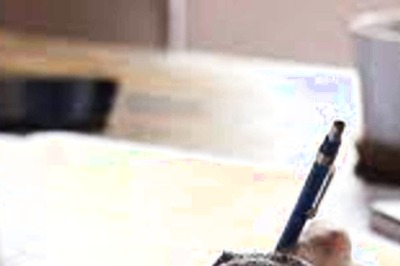 Preparing for IAS Exam? List of Free Govt Coaching for Civil Services