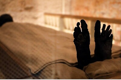 Lack of Food and Extreme Heat Kill Elderly Siblings, Decomposed Bodies Found at Delhi House