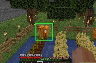 How to Make and Use a Pumpkin in Minecraft