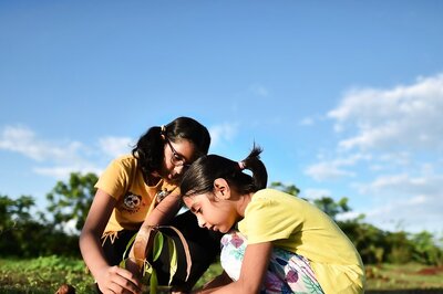 Project One Tree: Dos And Don’ts of Successful Tree Planting