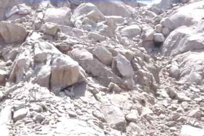 Optical Illusion: Can You Spot A Deer In This Picture?