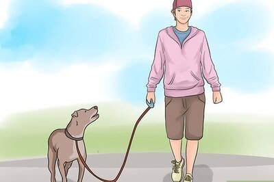 How to Stop Your Dog from Eating Your Plants: A Step-By-Step Guide