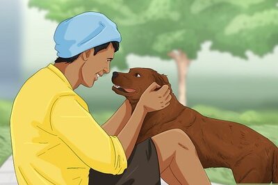 How to Be Your Dog's Best Friend (Monks of New Skete Method)