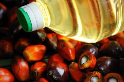 Govt Cuts Tax on Palm Oil Imports from Southeast Asian Countries