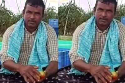 Andhra Pradesh Farmer Earns Rs 3 Crore In 1 Month Selling Tomatoes