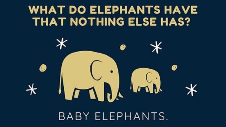 150+ Elephant Jokes, Puns & One-Liners That’ll Have You All Ears