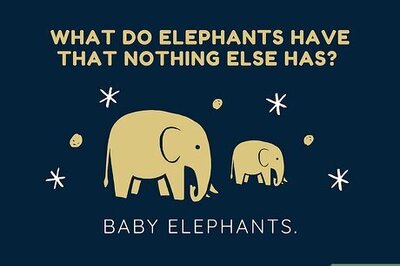 150+ Elephant Jokes, Puns & One-Liners That’ll Have You All Ears