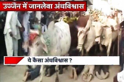 Ujjain: People follow a bizarre ritual, let bulls run over them