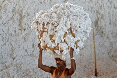 India's 2017/18 Cotton Output Could Rise 9 Percent from Last Year