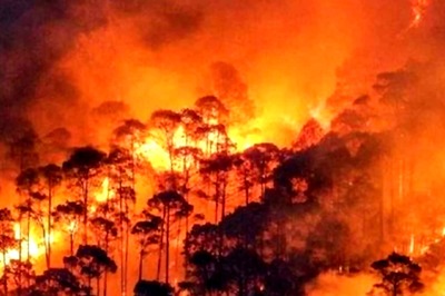 'You Showed Us Rosy Picture When Things Were Worse': SC Pulls Up Centre Over Uttarakhand Forest Fires