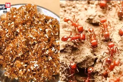 At This Bastar Dhaba, Not Just Red Ant Chutney, Soup and Pickle Also in Equal Demand