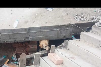 10 Killed in Kolkata Mishap: 'Illegal Building' Fell on Slum, 3 May Still be Under Rubble; Construction Promoter Held for Murder