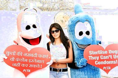 Sherlyn Chopra advocates animal birth control