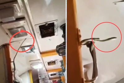 Video: Snake Spotted Inside Jabalpur-Mumbai Garib Rath Express Train, Netizens Slam Indian Railways
