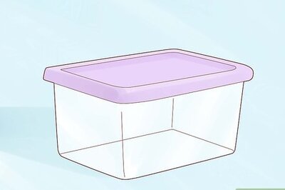 How to Raise Your Own Crickets