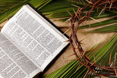 Palm Sunday 2023: What Do Christians Celebrate on Palm Sunday? Meaning, Facts, Observances, and Significance