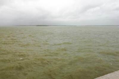 Water to be Released from Pong Dam in Kangra District of HP for 10 Days