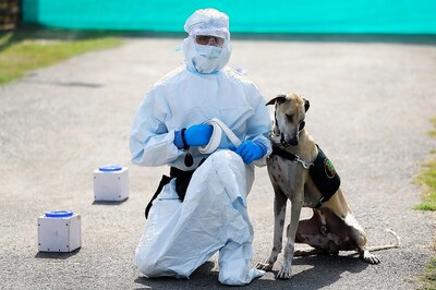 Can't Be Deaf and Blind to COVID-19 Cases Abroad, Warns UK Minister